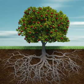 Fruiter - this is a 3d render illustration